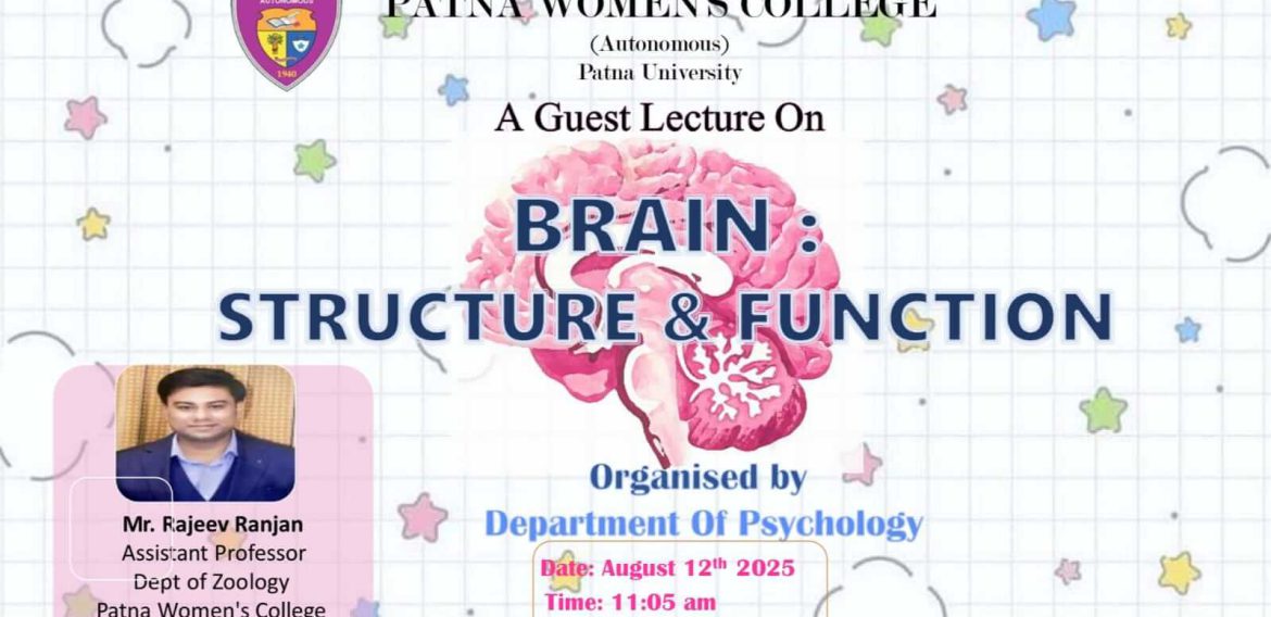 Brain: structure and functions