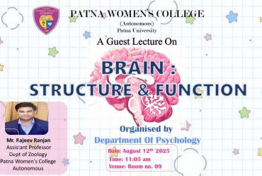 Brain: structure and functions