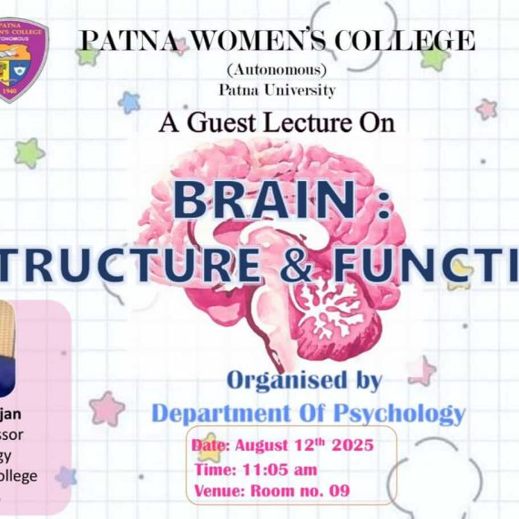 Brain: structure and functions